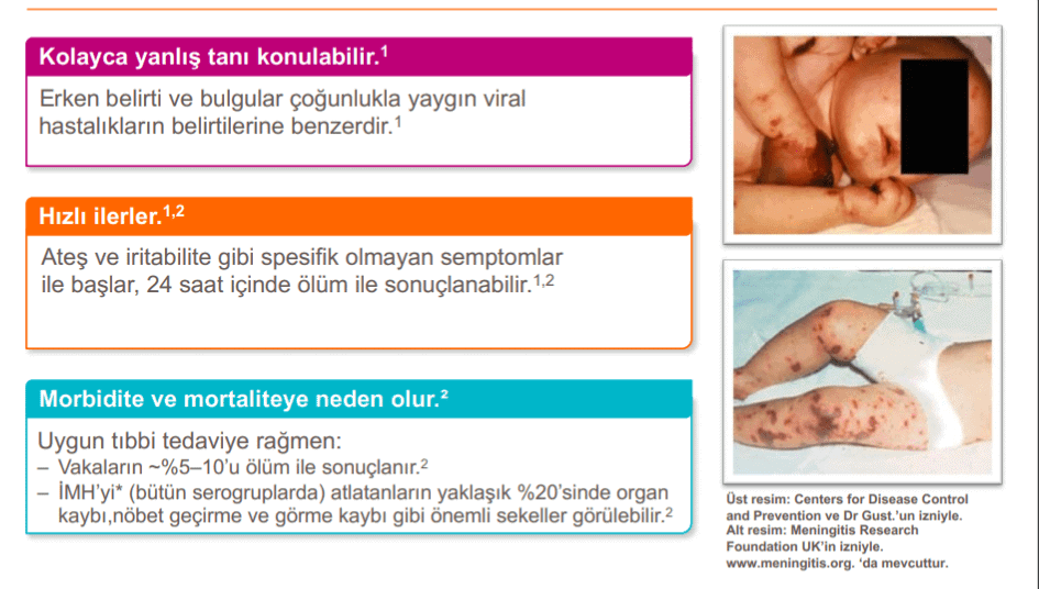 bexsero asi kapsamli analiz asi semasi ve yan etkiler fit ve form